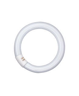 Osram T9 Cirkelrør 22W/840 Ø29mm. G10Q
