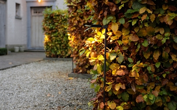 Royal Botania SPIKY 100cm spydlampe LED IP65